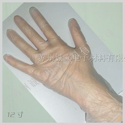 山东性pvc手套