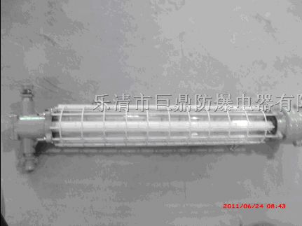 供应DGS20/127Y（A）矿用隔爆型荧光灯，矿用荧光灯