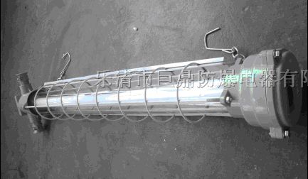 供应DGS20/127Y（T）隔爆型荧光灯价格，20W荧光灯