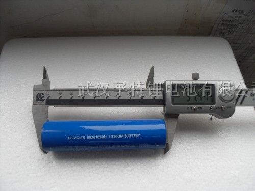 供应3.6V CC ER261020/17AH 电池