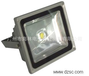 广州海林电子优质*LED投光灯 *