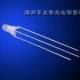 供应3mm 双色LED LED器件