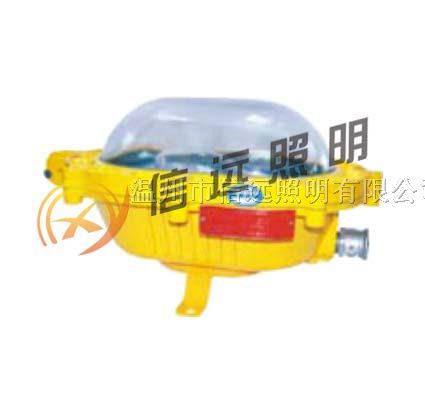 供应粉尘*爆内场强光泛光灯  BFC8920