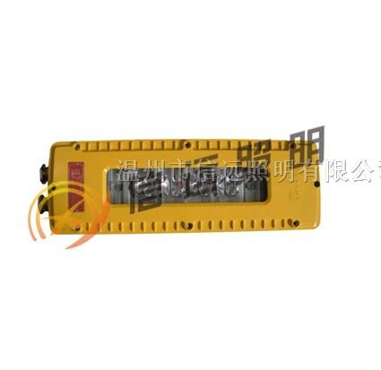 供应XY-DGS10/127L   矿用隔爆型白炽灯(LED巷道灯)