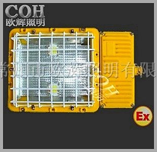 BFC8189 LED隔爆型泛光灯_LED*爆泛光灯