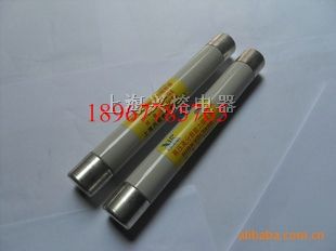 【熔断器】XRNP1-12/1A XRNP1-12/0.5
