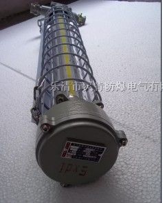 矿用巷道灯 欢迎询价