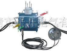 供应FZW28电动、FZW8-12带遥控器 、真空开关