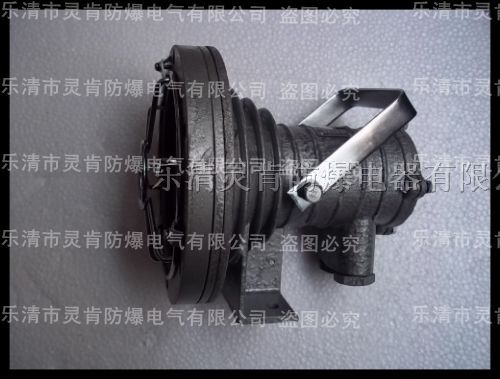 供应DGY20/127LLED隔爆型，*爆投光灯