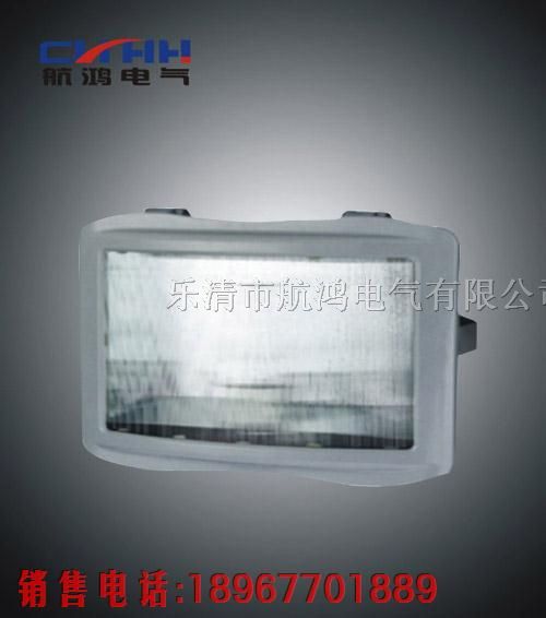 浙江厂家※GT001-L100※*水*尘*眩泛光灯