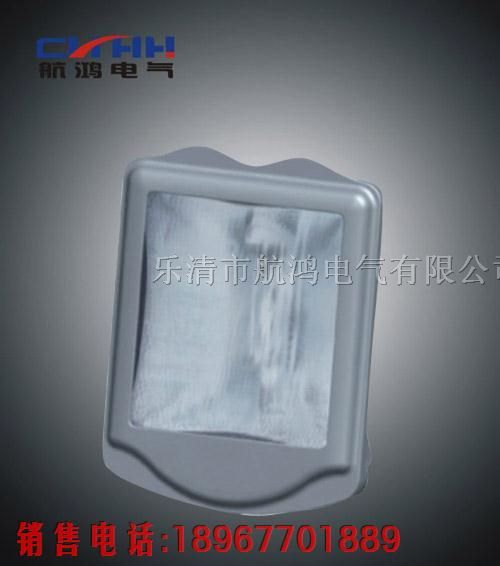 ￠GT002-N250*水*尘*眩*震泛光灯/配250W高压钠灯