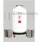 贮存运输型液氮罐（优势产品）