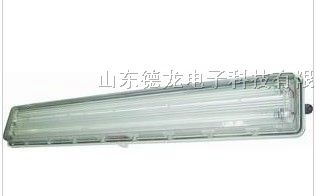 供应山东德州BYS系列*爆*腐全塑荧光灯