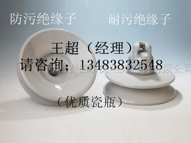 供应XWP-100*污型*缘子厂家