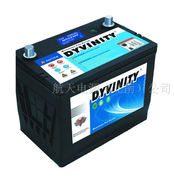 大力王（dyvinity）汽车免维护蓄电池