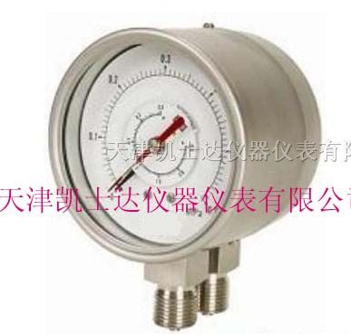 供应双针双管差压表，天津双针双管差压表