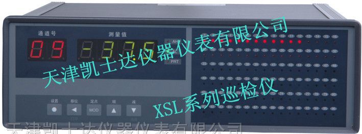 供应XSL系列巡检仪