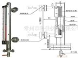 科佳仪表UZ-AF磁浮子液位计