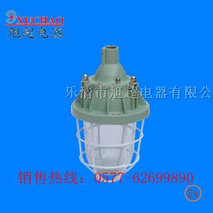 供应BAD51 隔爆型*爆灯  BAD51