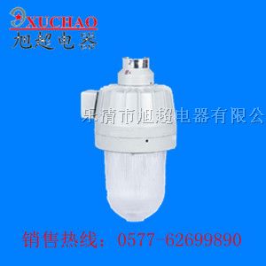 供应BAD61 隔爆型*爆灯（ⅡB、ⅡC） BAD61