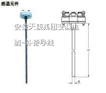 供应双支铂热电阻WZP2-101