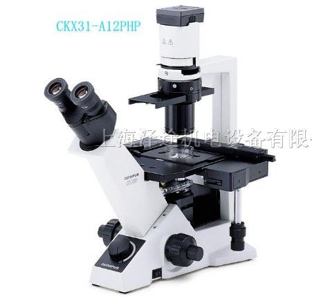 供应CKX31-A12PHP 奥林巴斯倒置显微镜CKX31-A12PHP
