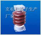 FXBW4-66/100复合悬挂*缘子