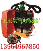供应HYZ4正压氧气呼吸器，4小时正压氧气呼吸器