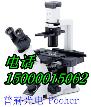 供应OLYMPUS双目倒置显微镜（上海分销部）