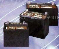供应大力*12v100AH蓄电池 大力*12v100AH蓄电池