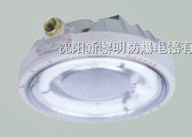 供应CCd96*爆免维护*照明灯，*爆环形荧光灯