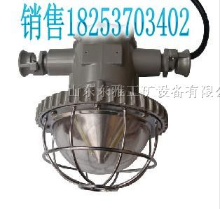 供应矿用巷道照明灯