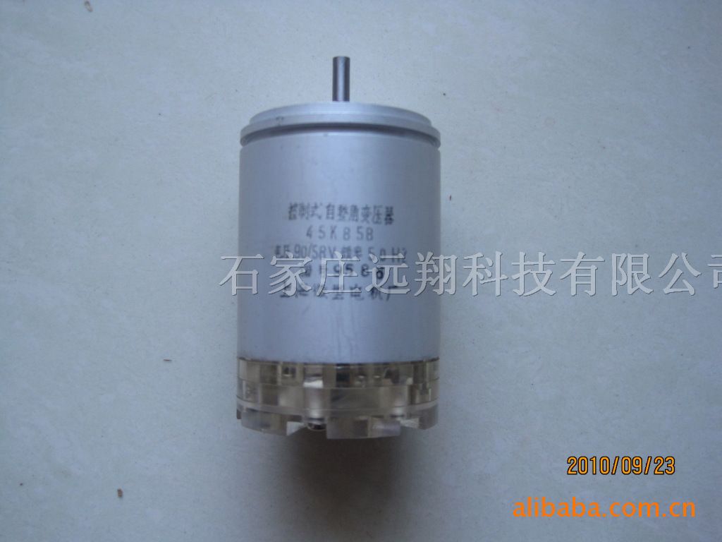 供应微型电机 45LJ5B