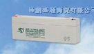 供应赛特蓄电池BT-HSE-65-12(12V65Ah/10hr)报价