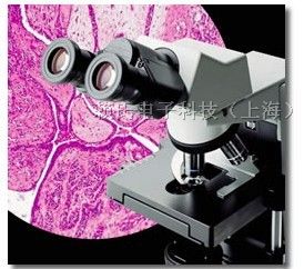 供应CX31-32C02生物显微镜奥林巴斯(湖北代理商）