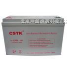 供应深圳山特蓄电池12V-100AH德国阳光蓄电池*