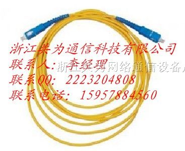 供应SC/APC-FC/UPC光纤跳线（电子）SC光纤跳线