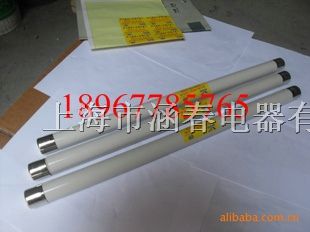 限流式熔断器)（XRNP-24/0.5a）XRNP-24