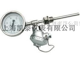 供应带热电偶/阻双金属温度计