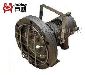 供应DGY20/127L，矿用LED投光灯，20W投光灯