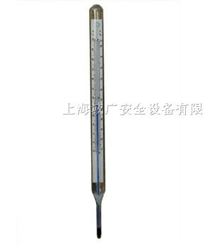 内标式温度计