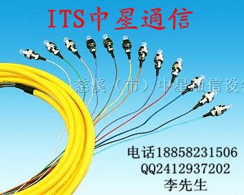 公布光纤尾纤（*报价）束状尾纤 ITS通信*