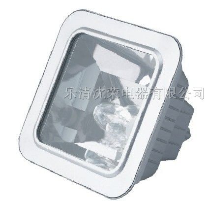 供应NFE9100应急棚顶灯，*爆灯，*爆配电箱