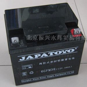 东洋蓄电池厂家现货*