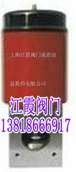 供应电磁真空带充气阀DDC-JQ