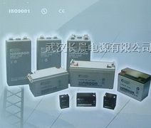 供应12V25AH电池