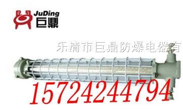 供应DGS18/127L隔爆型LED巷道灯 18W长形矿用巷道灯