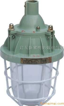 供应Bcd-200B隔爆型*爆灯,新黎明隔爆*爆灯