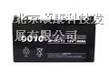 德洋蓄电池价格德洋DOYO：NP12-100蓄电池报价