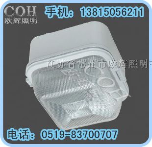 供应MZH2203 油站灯    加油站灯